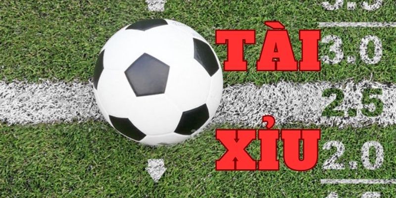 Hướng dẫn soi kèo tài xỉu du88 dễ thắng